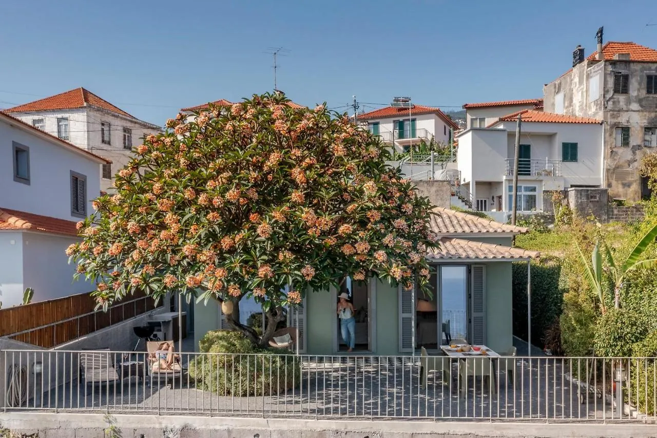 Lazareto Mar By An Island Apart Funchal  Funchal (Madeira)
